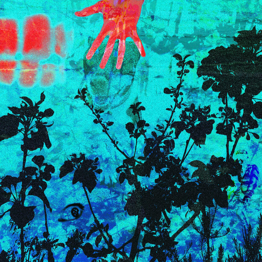 Flowers Don't Growl