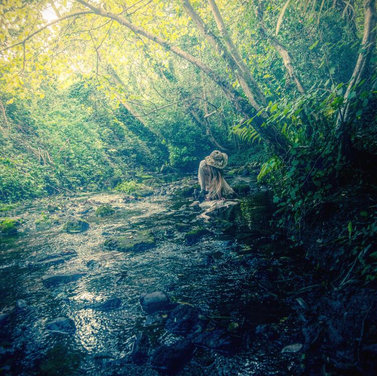 Liar, Flower - Ornamental Gardens (Folk, Art Pop)